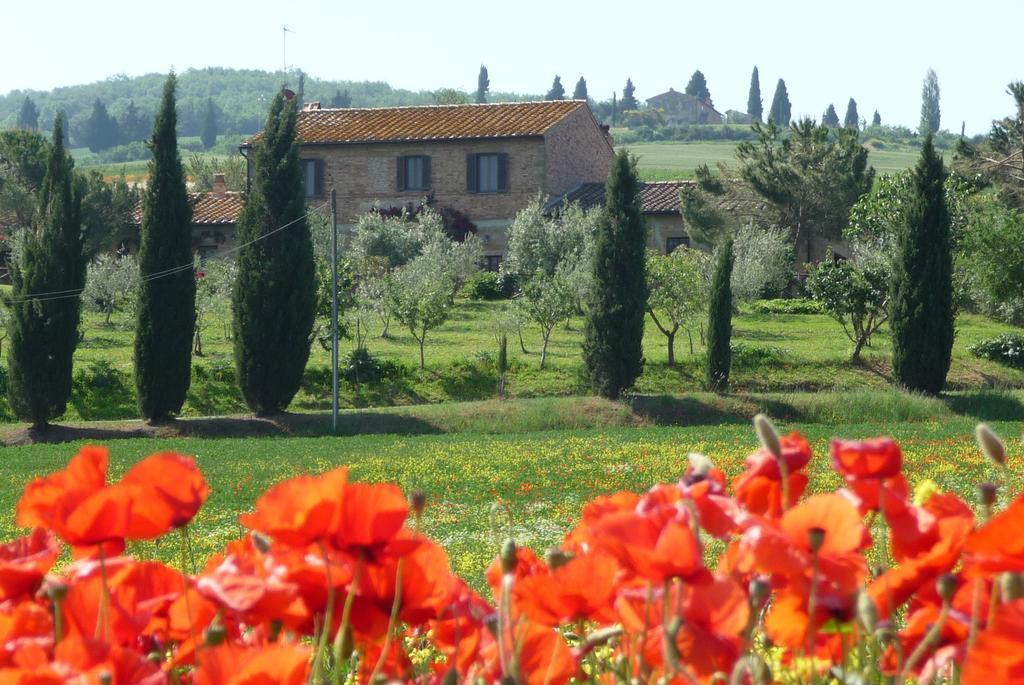 Agriturismo Santa Maria Πιέντσα Εξωτερικό φωτογραφία