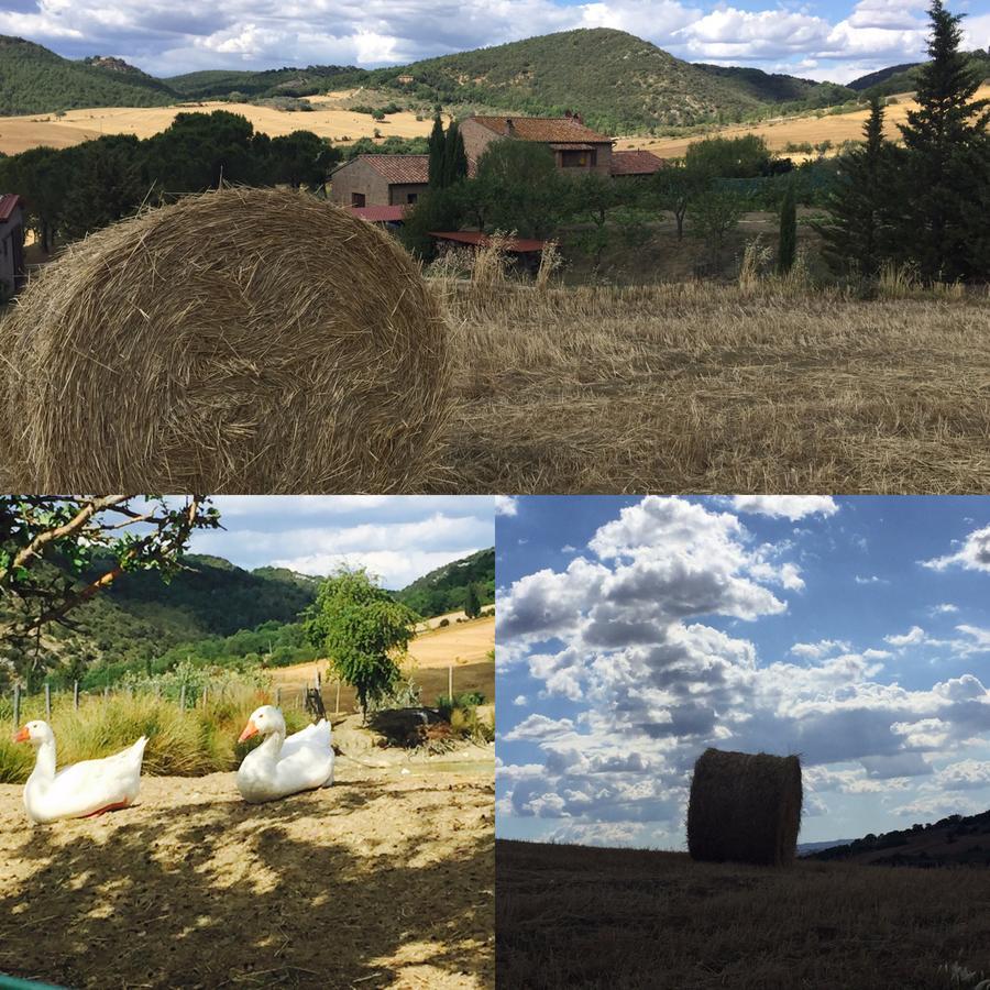 Agriturismo Santa Maria Πιέντσα Εξωτερικό φωτογραφία